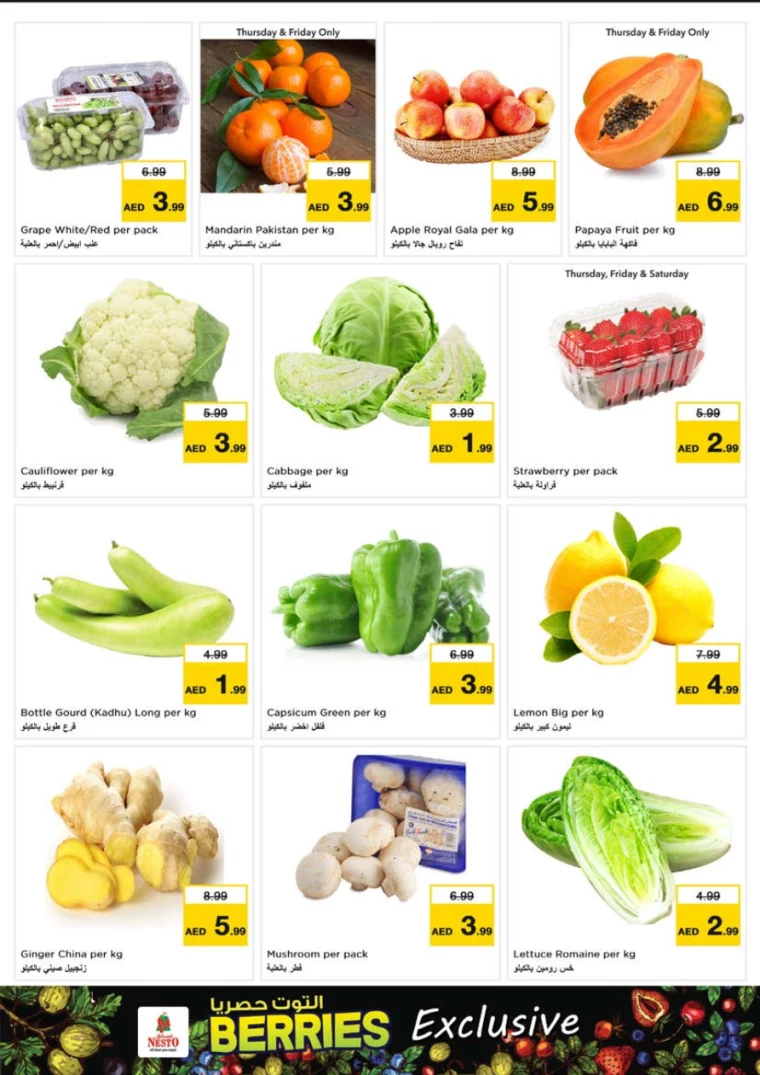 NESTO-Discounts-Alnabba-February-6-2025-15