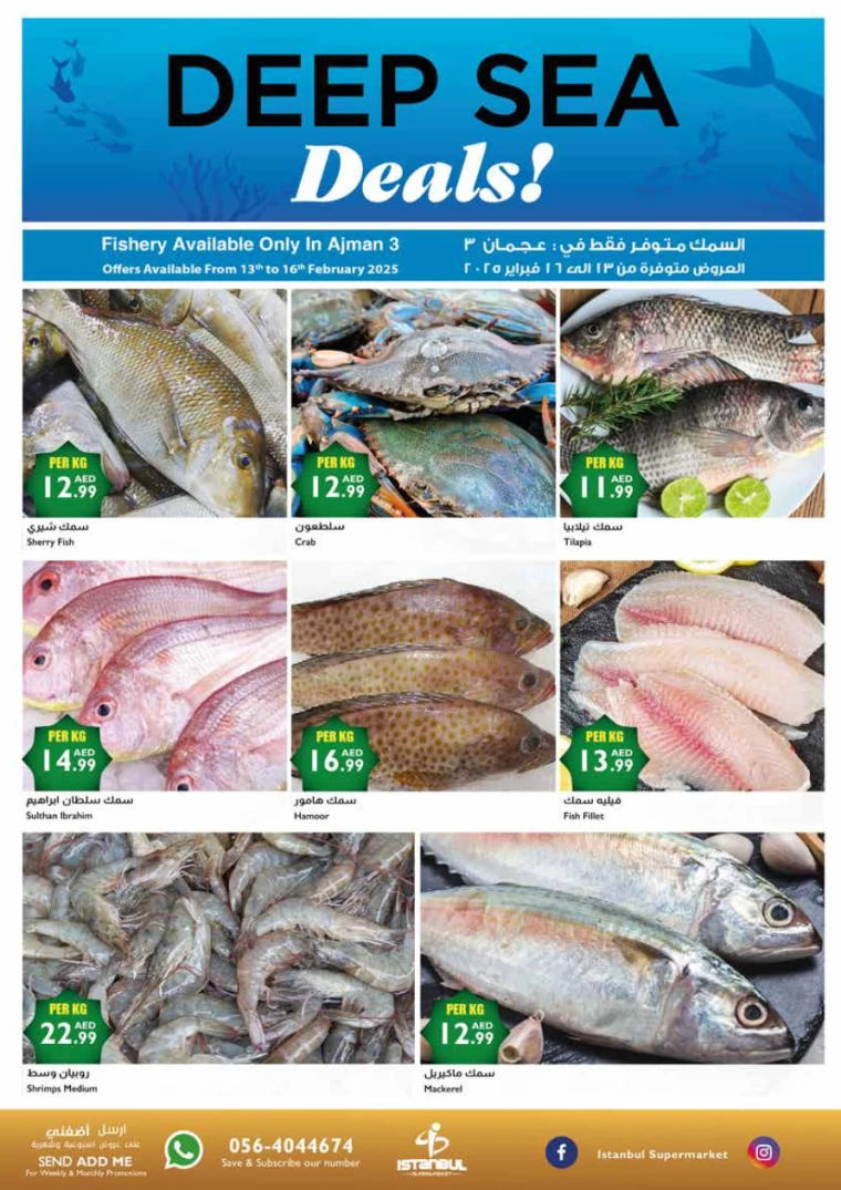 Istanbul-Offers-All-Branches-February-13-2025-15