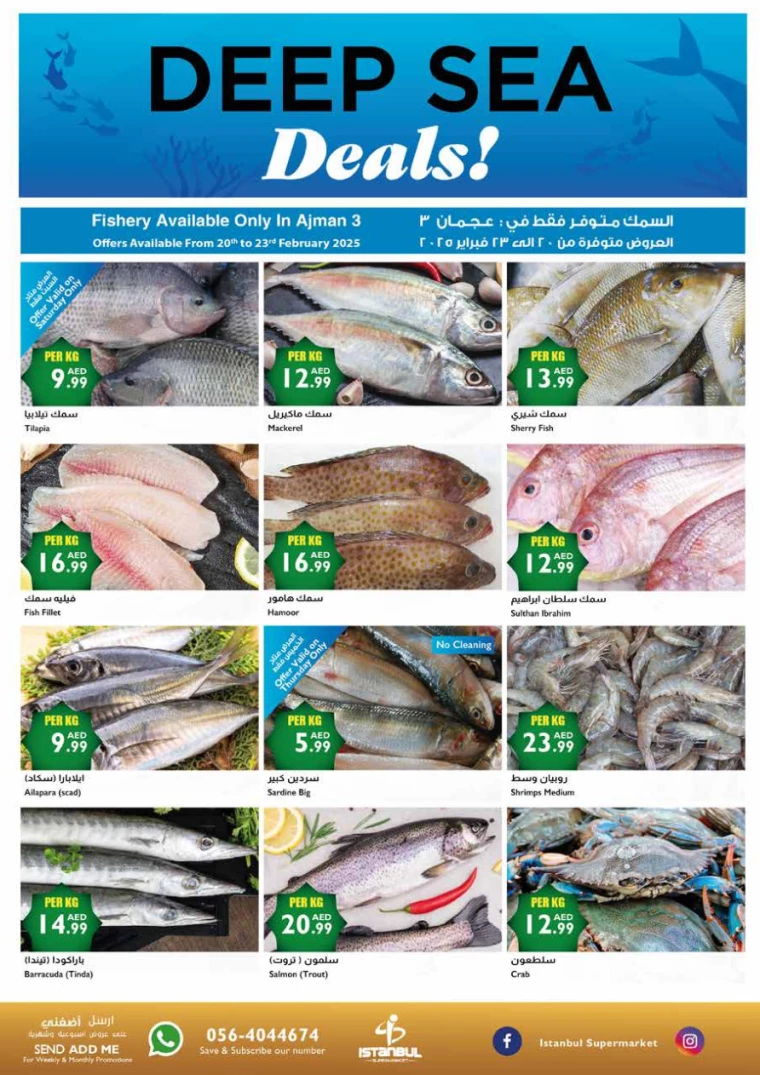 Istanbul-Offers-All-Branches-February-20-2025-9