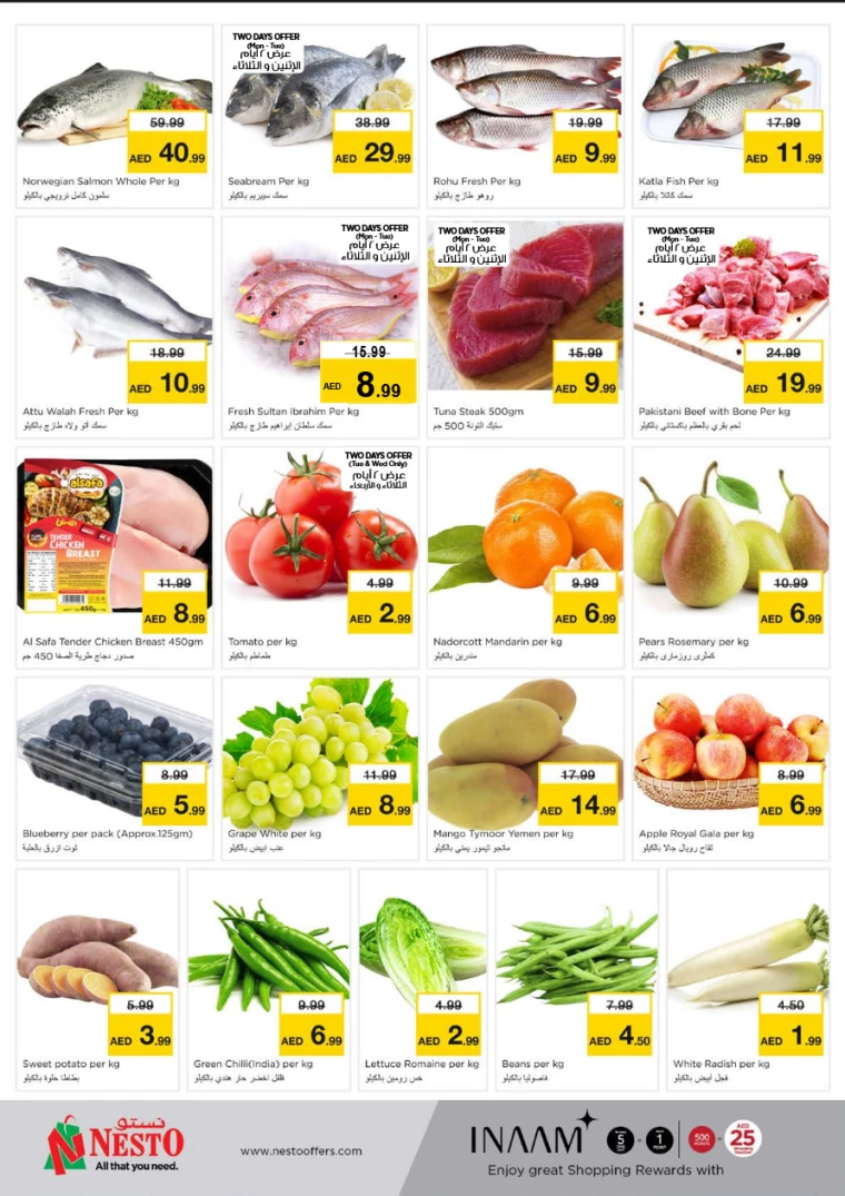 NESTO-Discounts-Jurf&New-Industrial-Area-March-3-2025-3