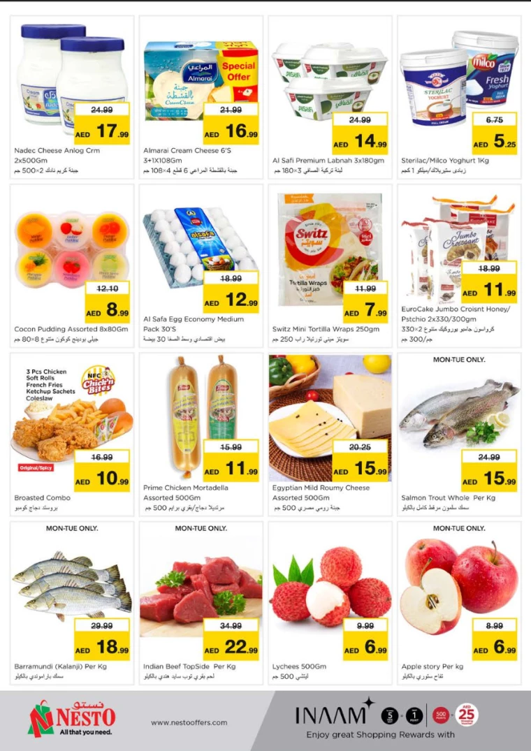 NESTO-Promotions-Nadd-Al-Hamar-March-10-2025-7