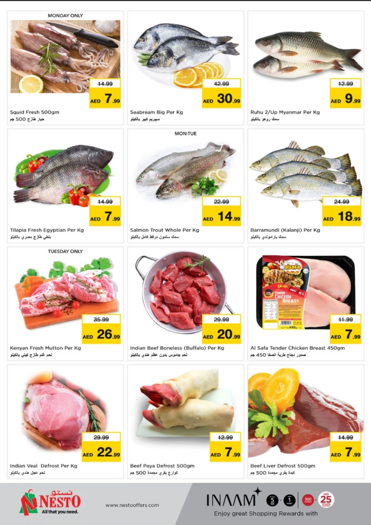 NESTO-Promotions-Al-Fahidi-March-17-2025-6