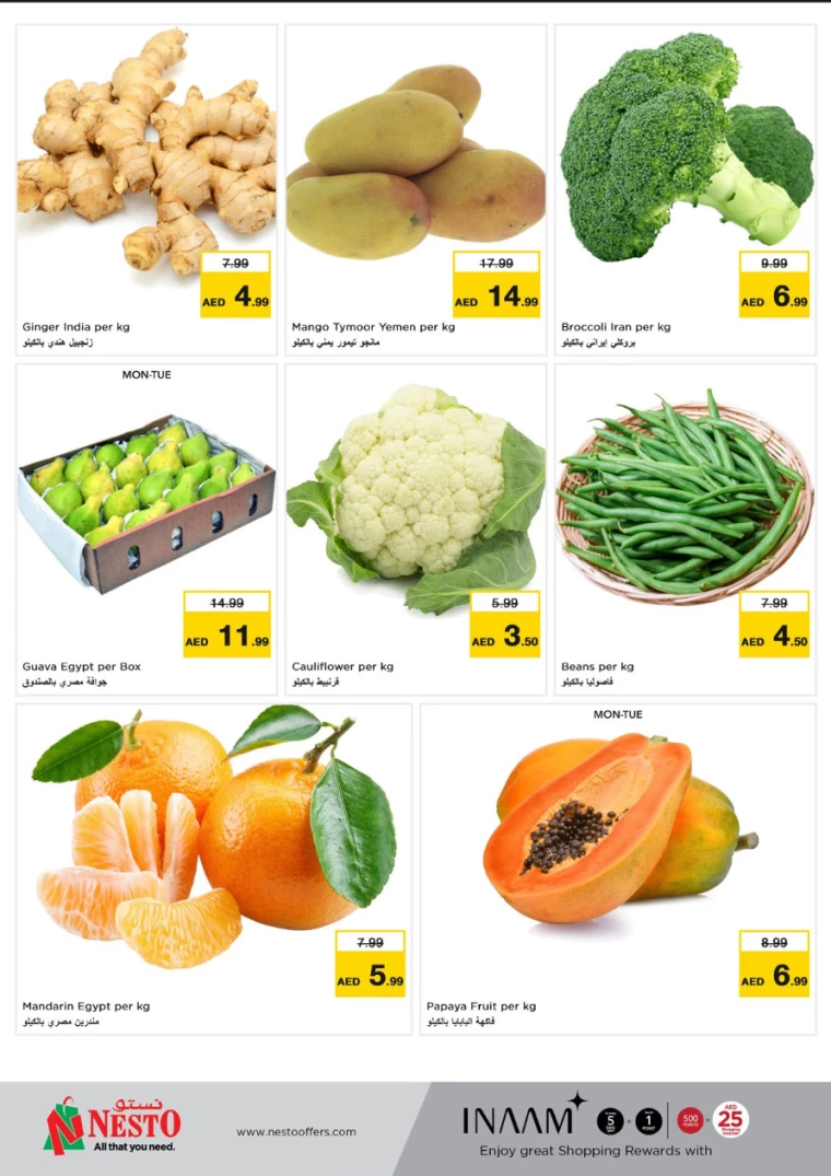 NESTO-Promotions-Al-Fahidi-March-17-2025-7