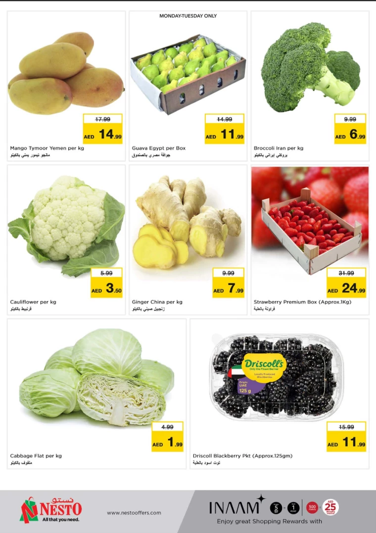 NESTO-Deals-All-Branches-March-17-2025-19-4