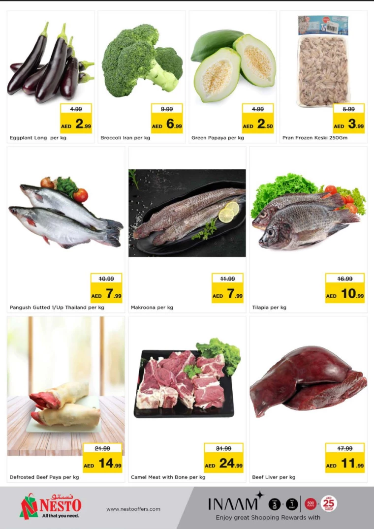 NESTO-Discounts-Jabel-Ali-March-17-2025-4