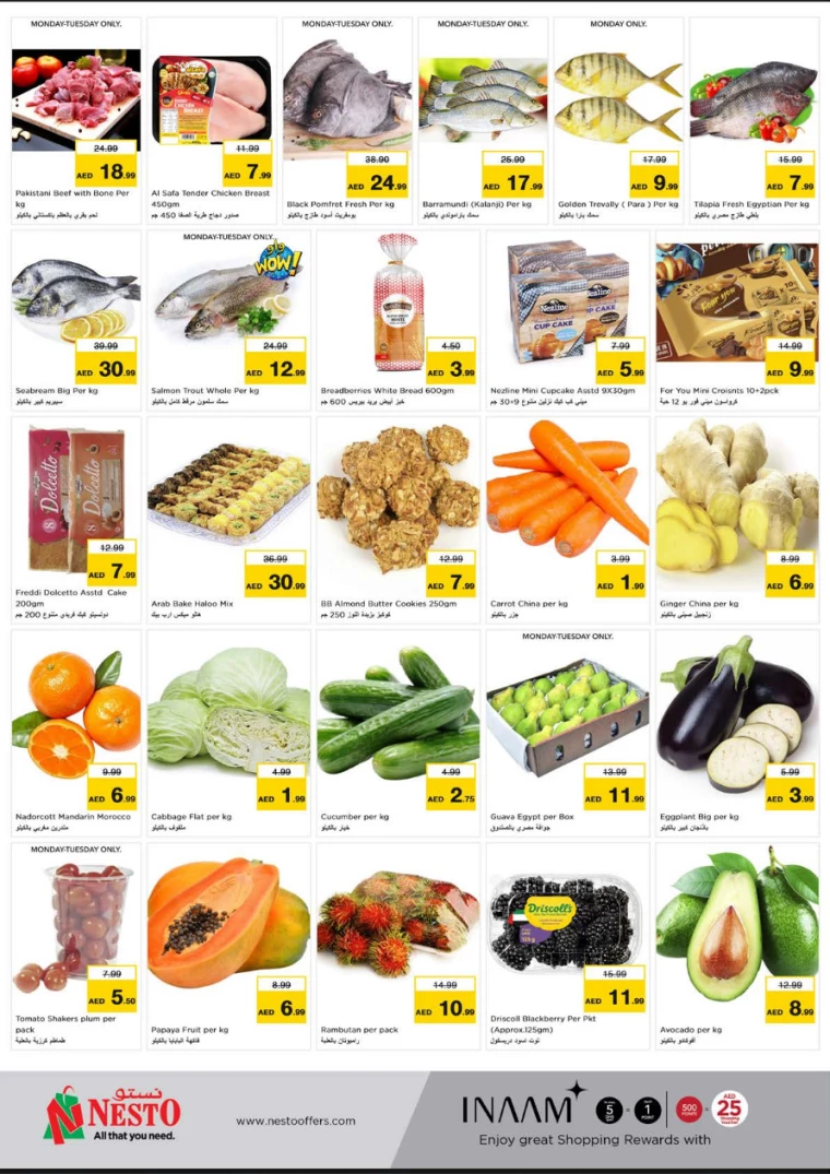 NESTO-Discounts-Hamidiya-1&Al-Raqaib-March-24-2025-1