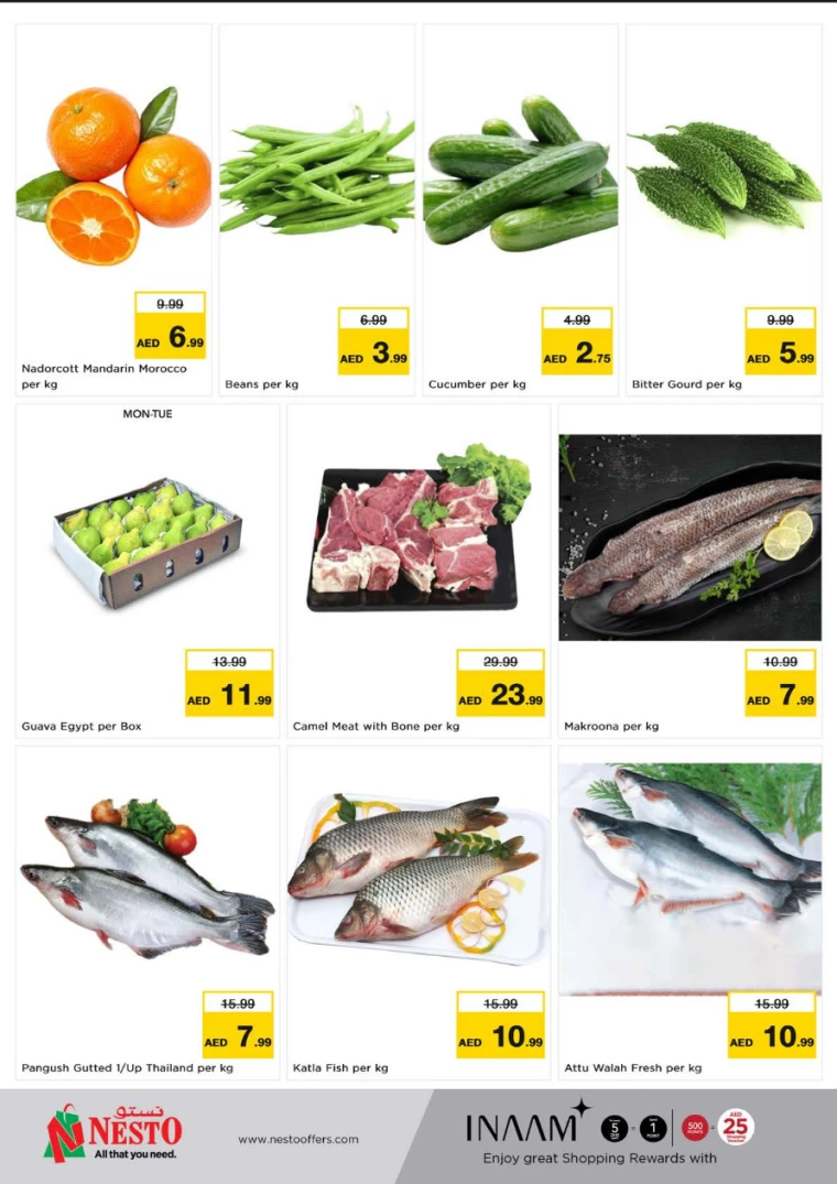 NESTO-Promotions-Jabel-Ali-March-24-2025-2