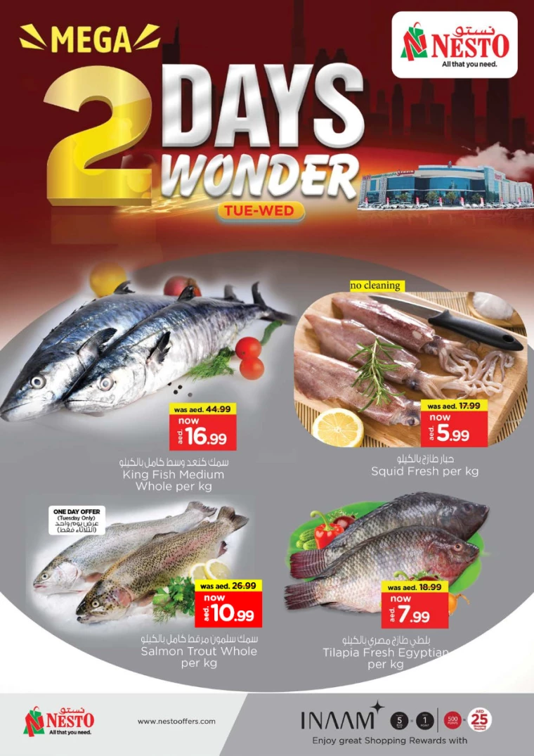 NESTO-Offers-All-Branches-March-25-2025-1