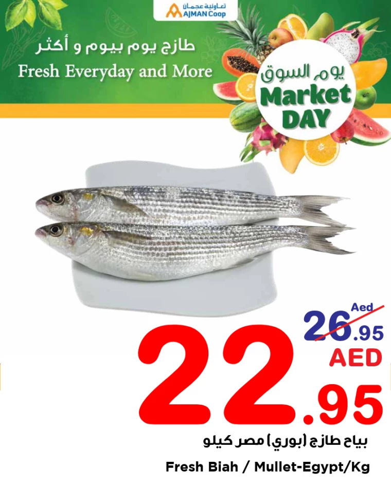 Ajman-Markets-Cooperative-Promotions-All-Branches-March-26-2025-13