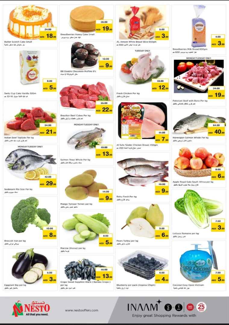 NESTO-Discounts-Hamidiya-1&Al-Raqaib-April-14-2025-1