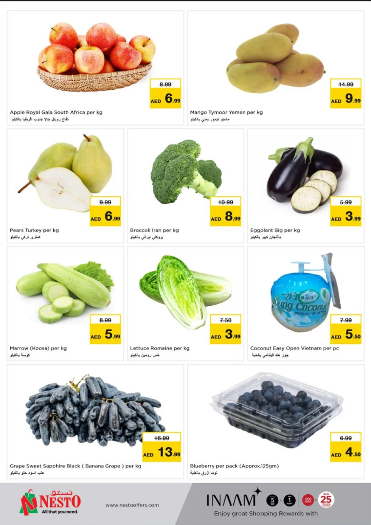 NESTO-Promotions-Jurf&New-Industrial-Area-April-14-2025-9