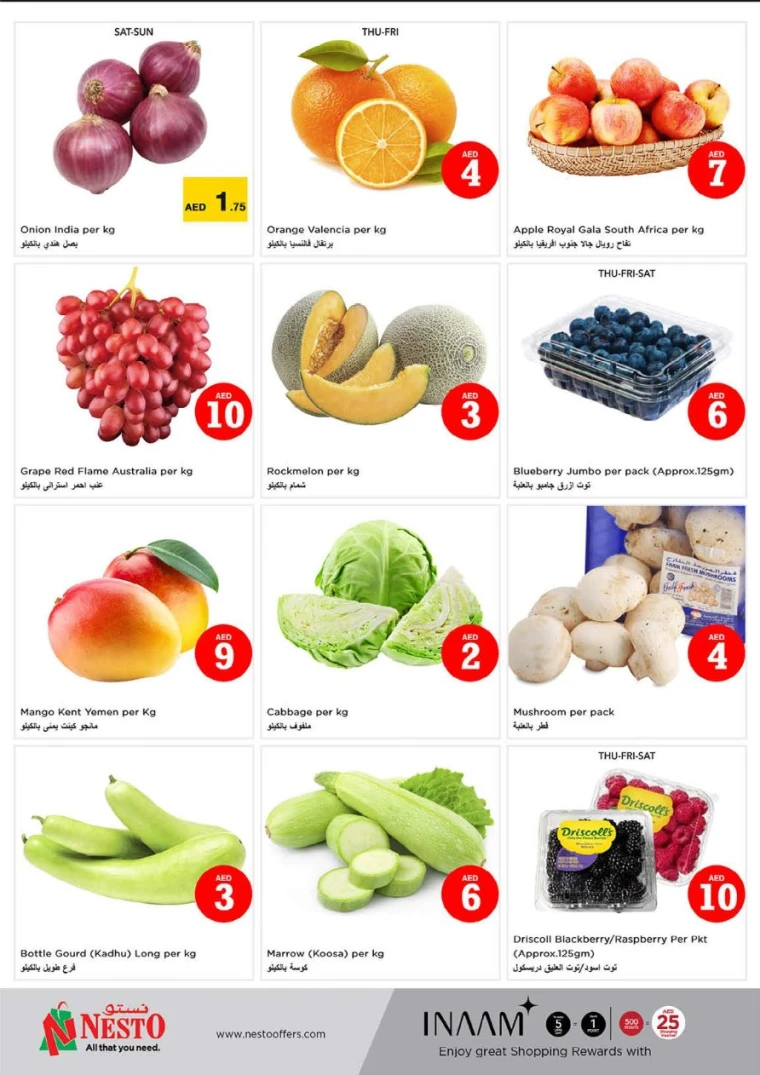 NESTO-Discounts-Jurf&New-Industrial-Area-May-1-2025-19