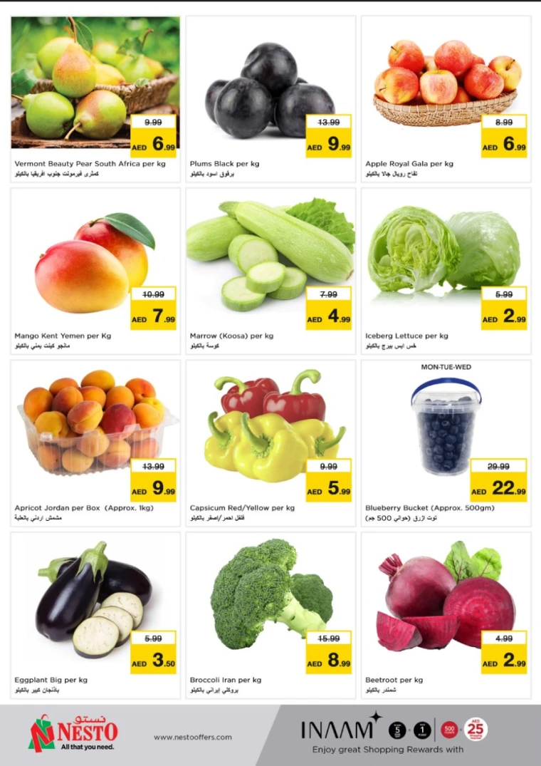 NESTO-Offers-Jurf&New-Industrial-Area-May-12-2025-9