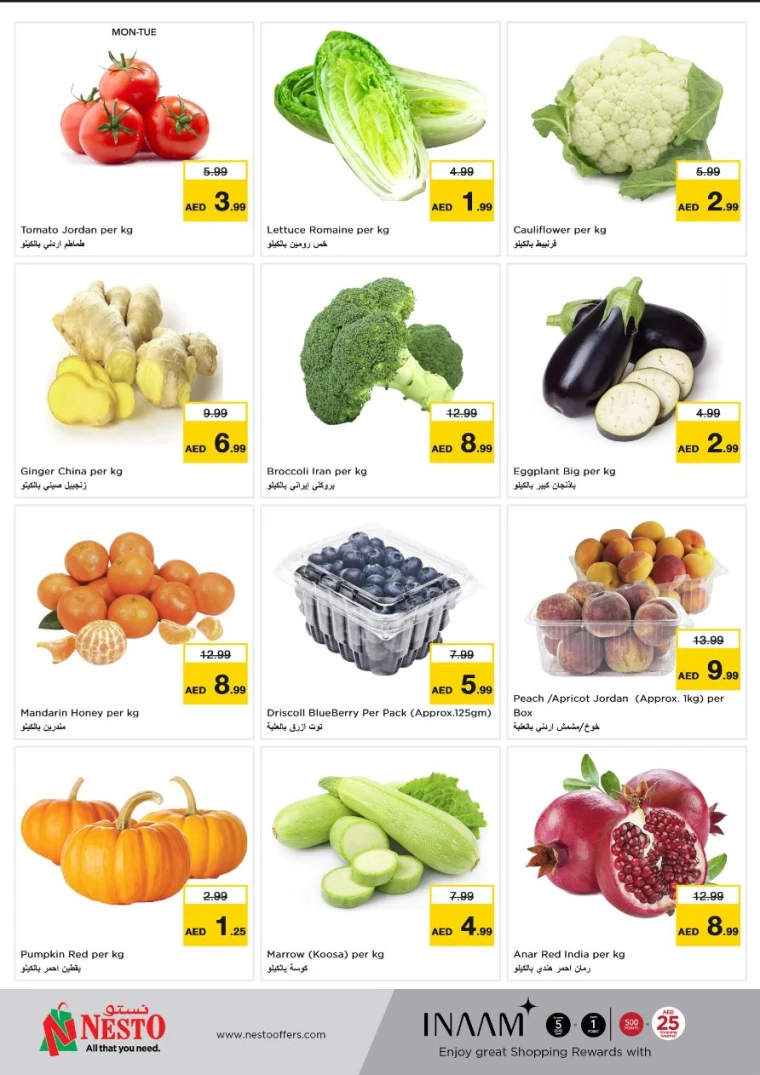 NESTO-Discounts-Jurf&New-Industrial-Area-May-19-2025-9