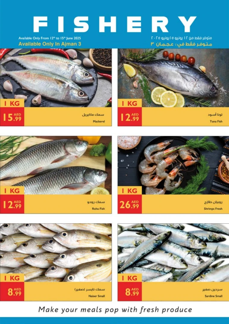 Istanbul-Discounts-All-Branches-June-12-2025-15