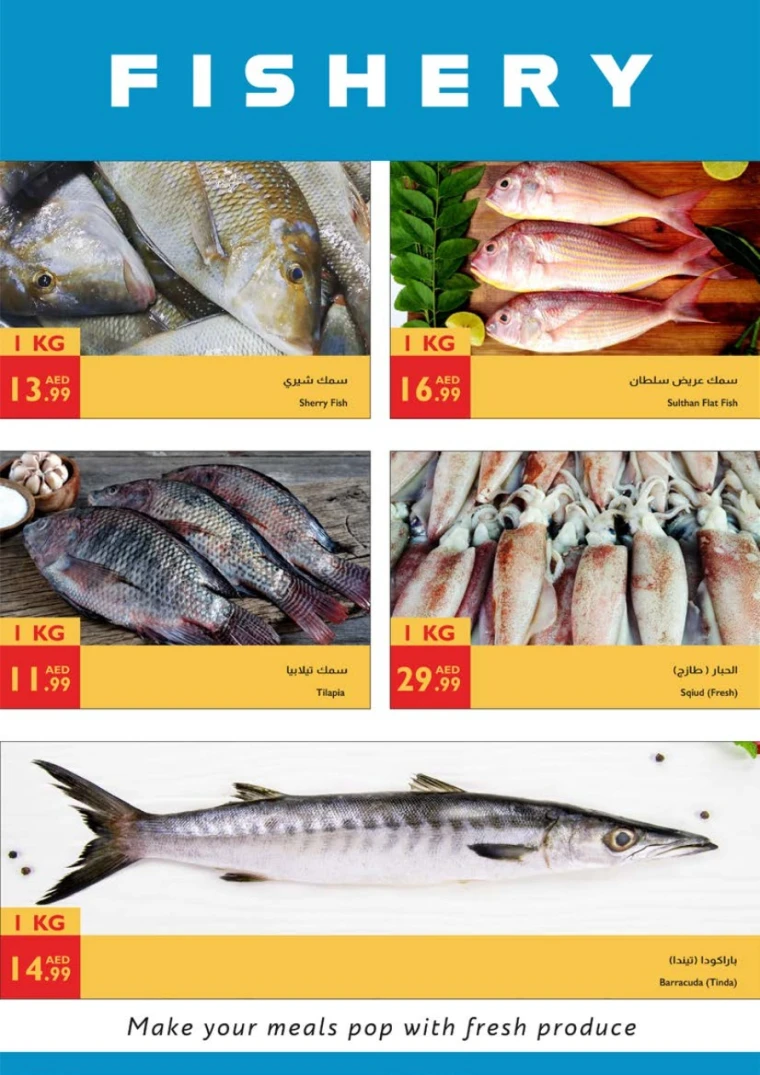 Istanbul-Discounts-All-Branches-June-12-2025-16