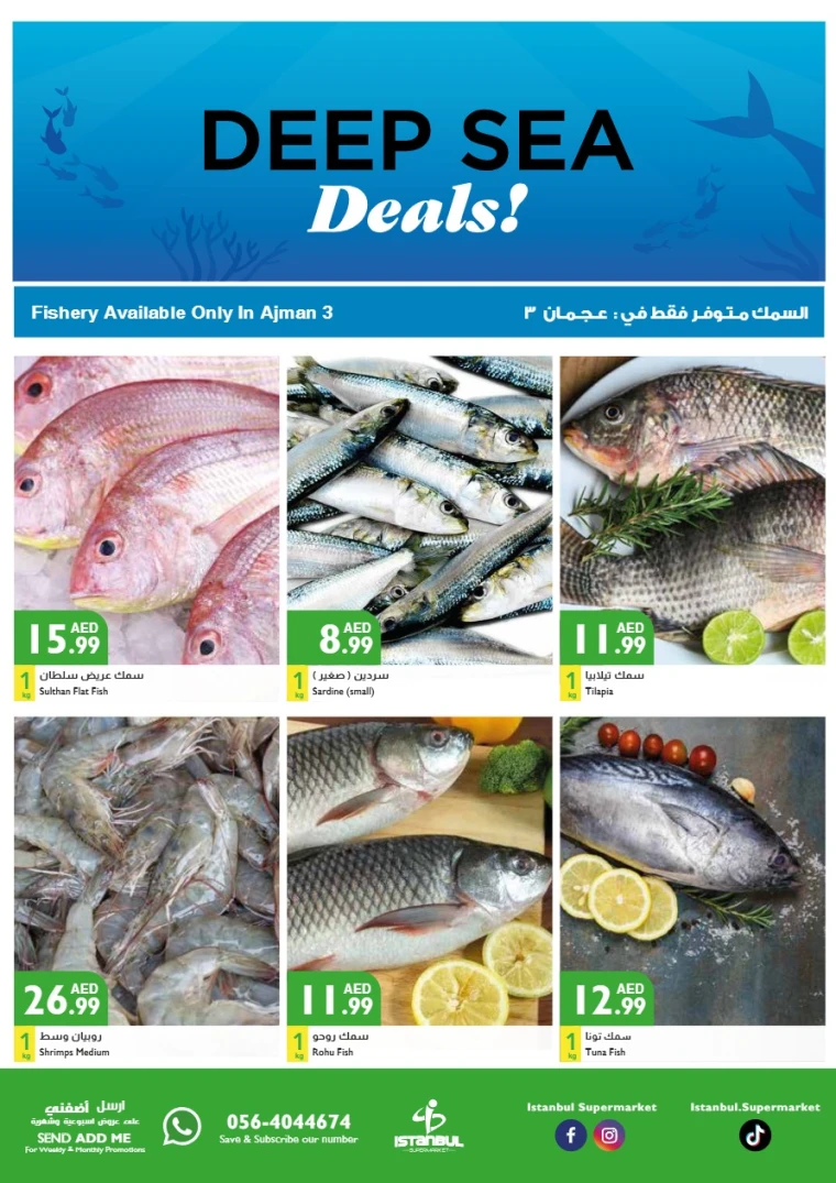 Istanbul-Offers-All-Branches-June-17-2025-1