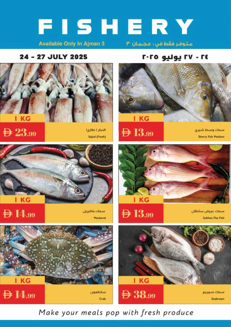 Istanbul-Offers-All-Branches-July-24-2025-24