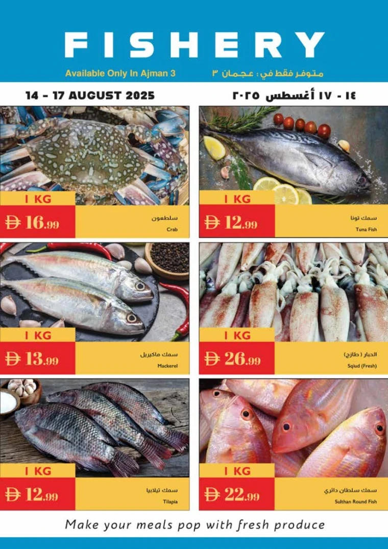 istanbul-promotions-all-branches-august-14-2025-26