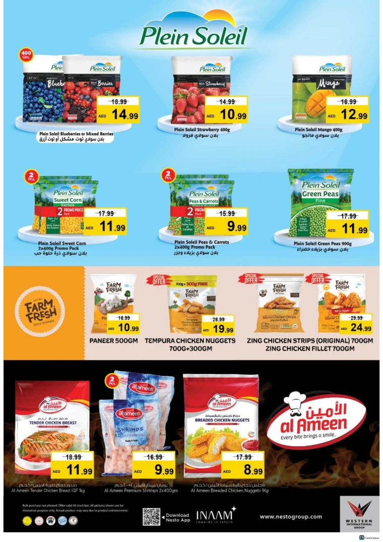 nesto-deals-alsatwa-november-27-2025-14