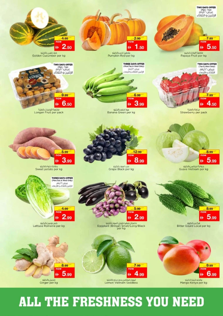 nesto-discounts-nadd-al-hamar-december-1-2025-1