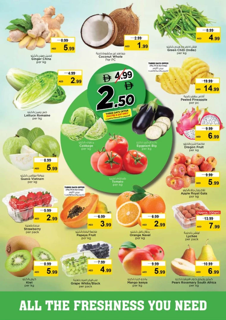 nesto-discounts-al-arab-mall-january-1-2026-1