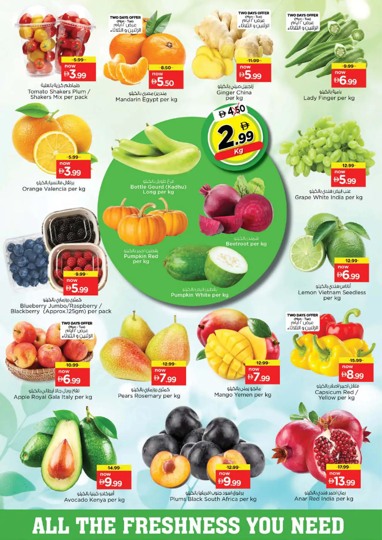 NESTO UAE Offers May 25, 2026