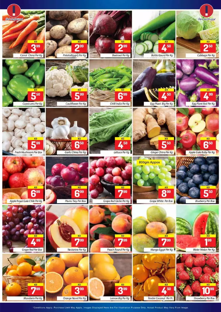 توفير المال 22 سبتمبر - سيتى ريتال