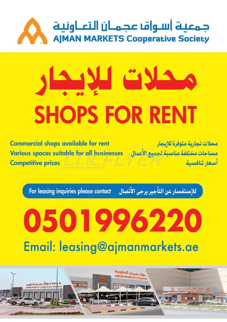 241645290019