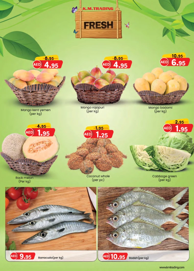 11716133774-664a1f8e786b1