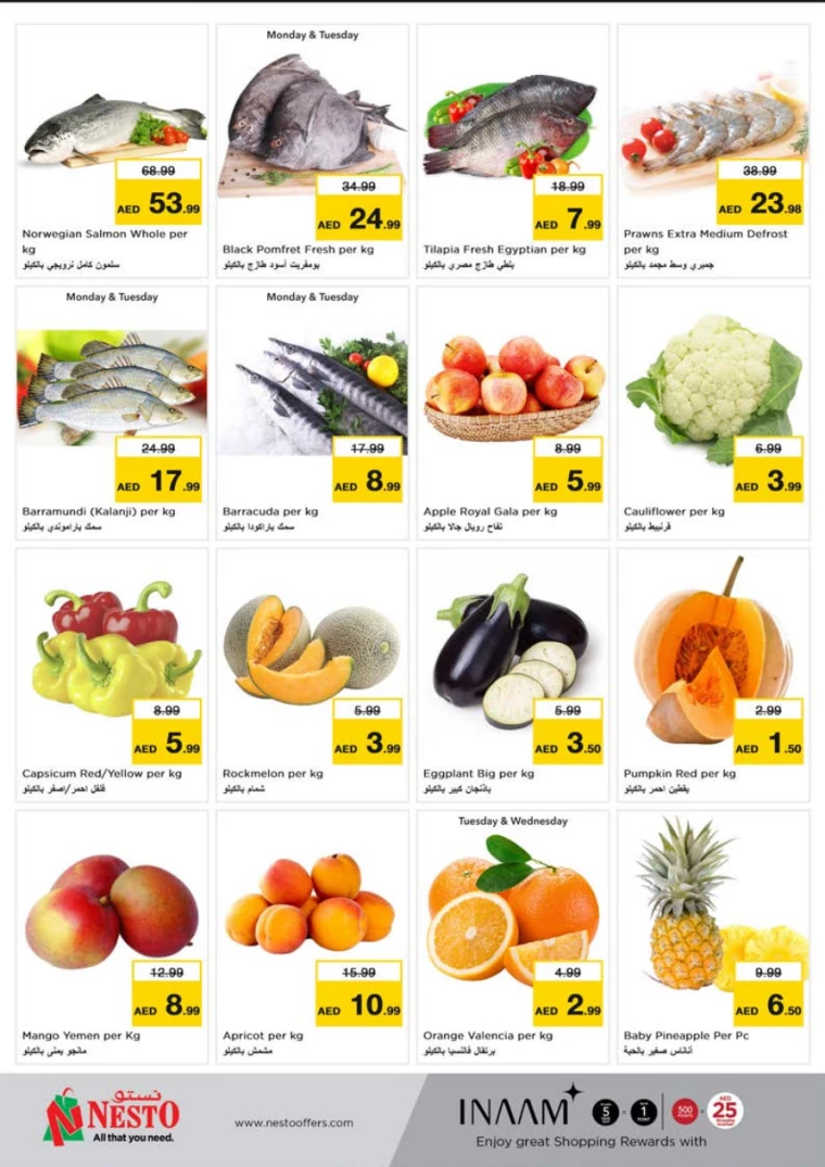 31715595696-6641e9b016b5f