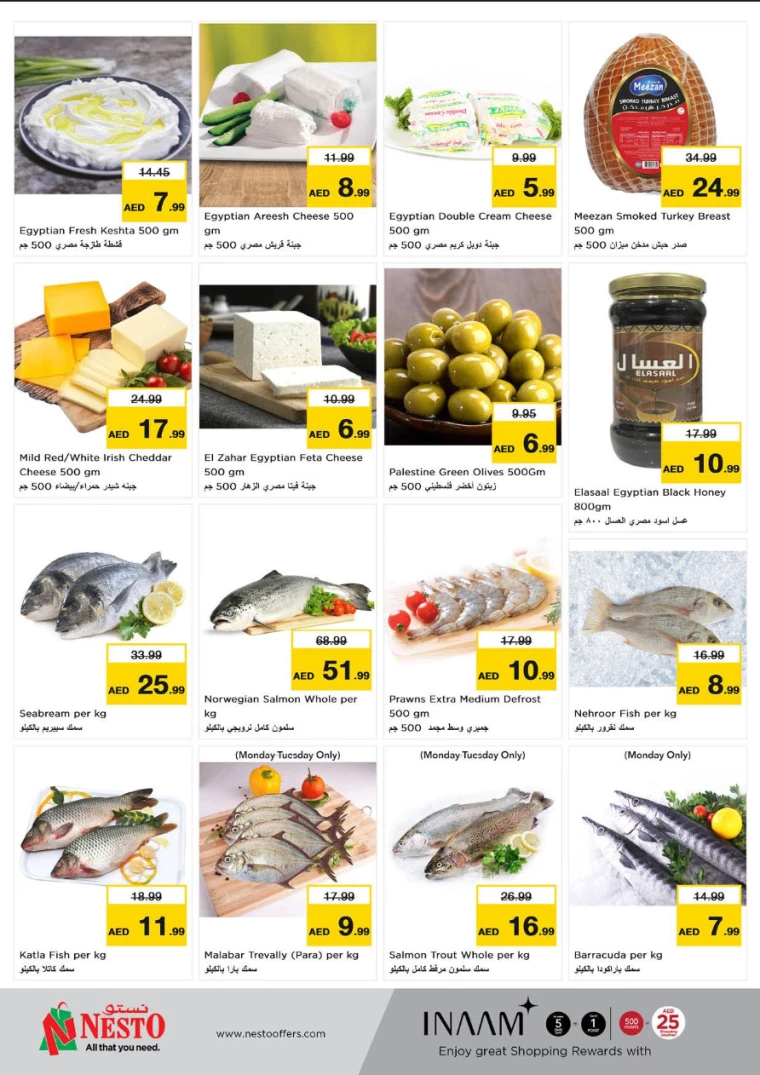 51714939550-6637e69ef0d7a