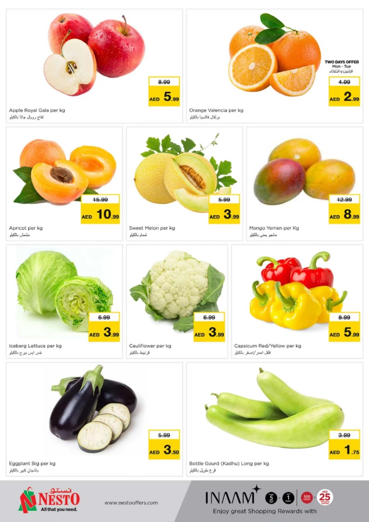 51715595502-6641e8ee1bda4