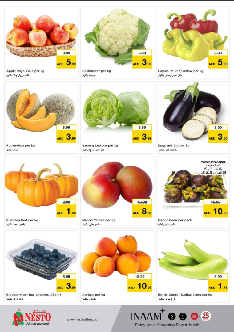 51715595987-6641ead3e718b