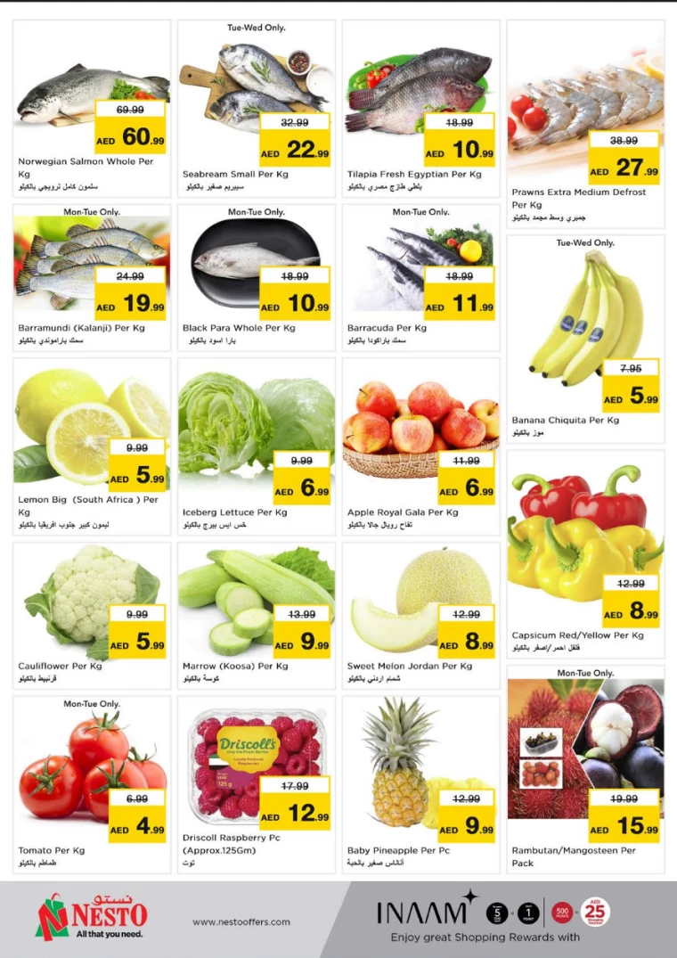 61715596605-6641ed3d32c90